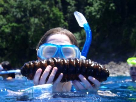 Charlotte holding a Donkey Dung Sea Cucumber